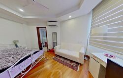 Jade Mansion (D10), Condominium #541676541